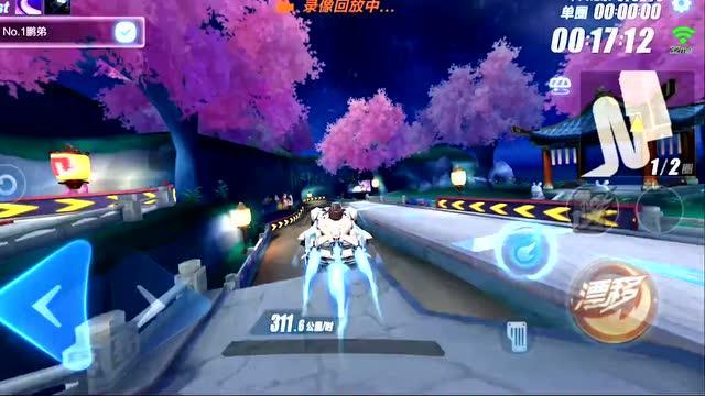 可爱小猫向上跳