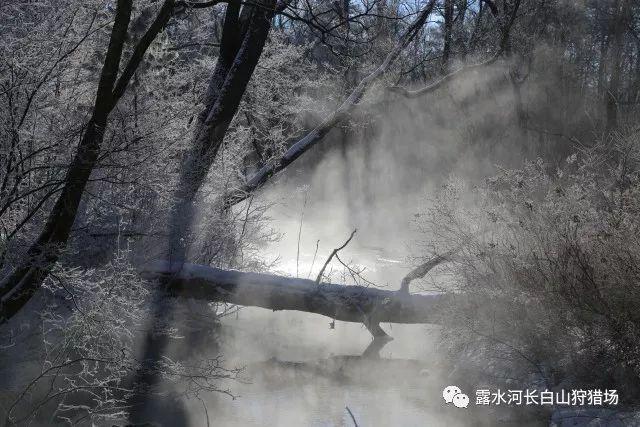 【深圳民企风采】顺丰以科技赋能传统渔业 助无锡甘露青鱼“游”上全国人民餐桌