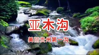 求生之路2