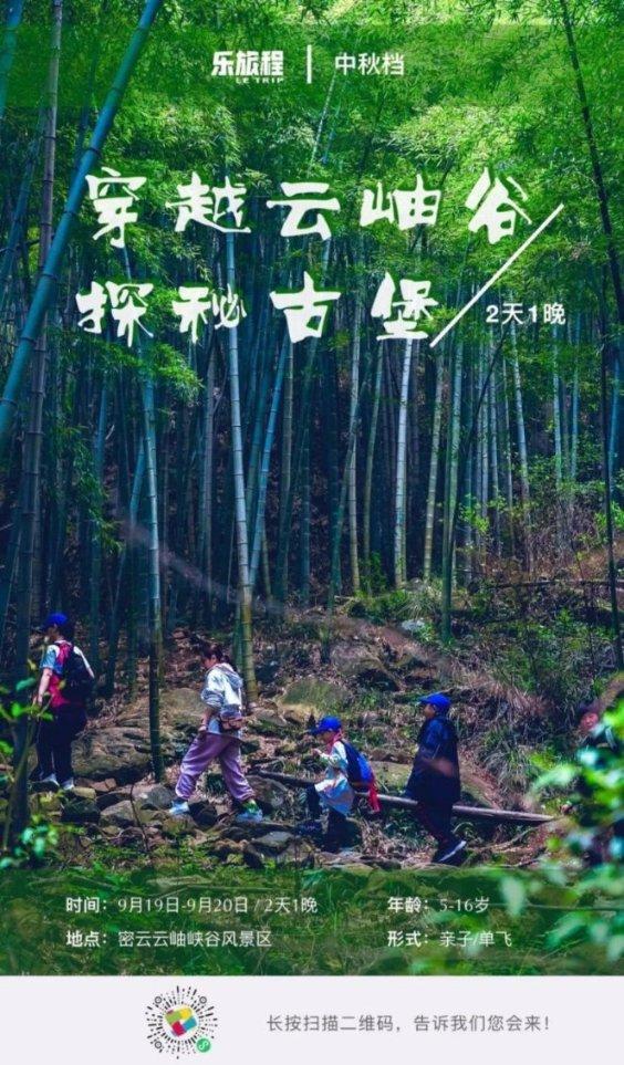 奥利维亚收养猫