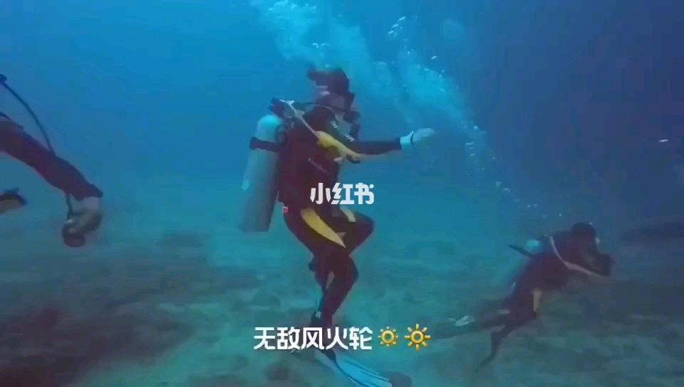 春雨直播app