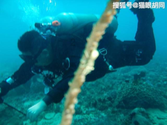 双碳晚报｜本月全国碳排放配额总成交额约2亿元 太原首条氢能公交示范线开通运行