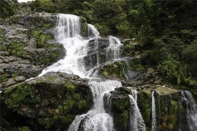 动物帮帮忙保卫家园